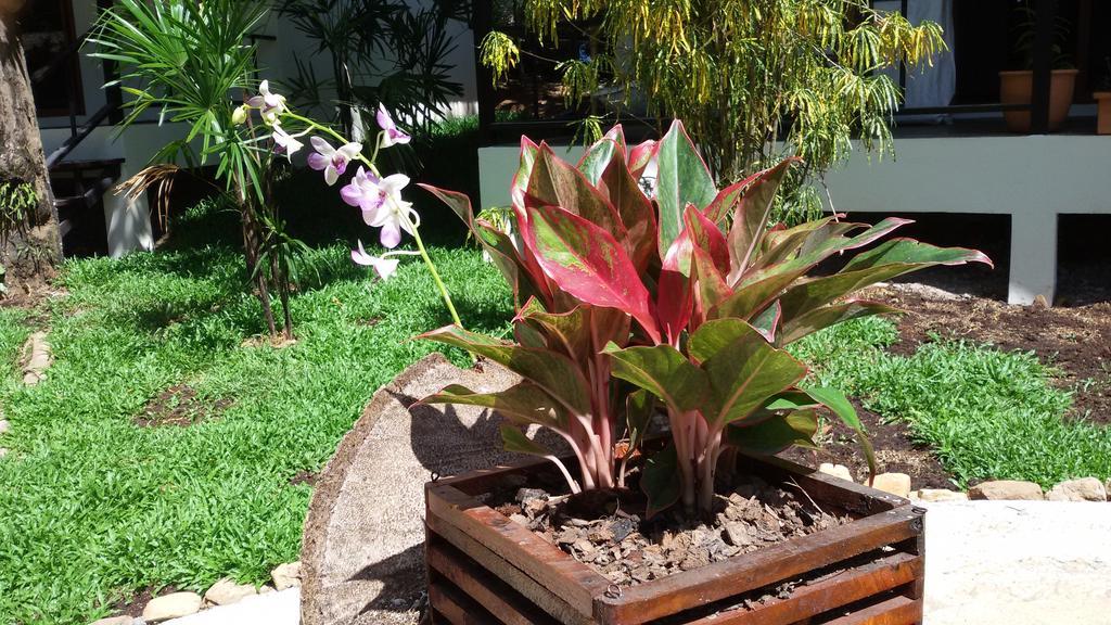 Lucky Gecko Garden Hotel Koh Chang Exterior photo